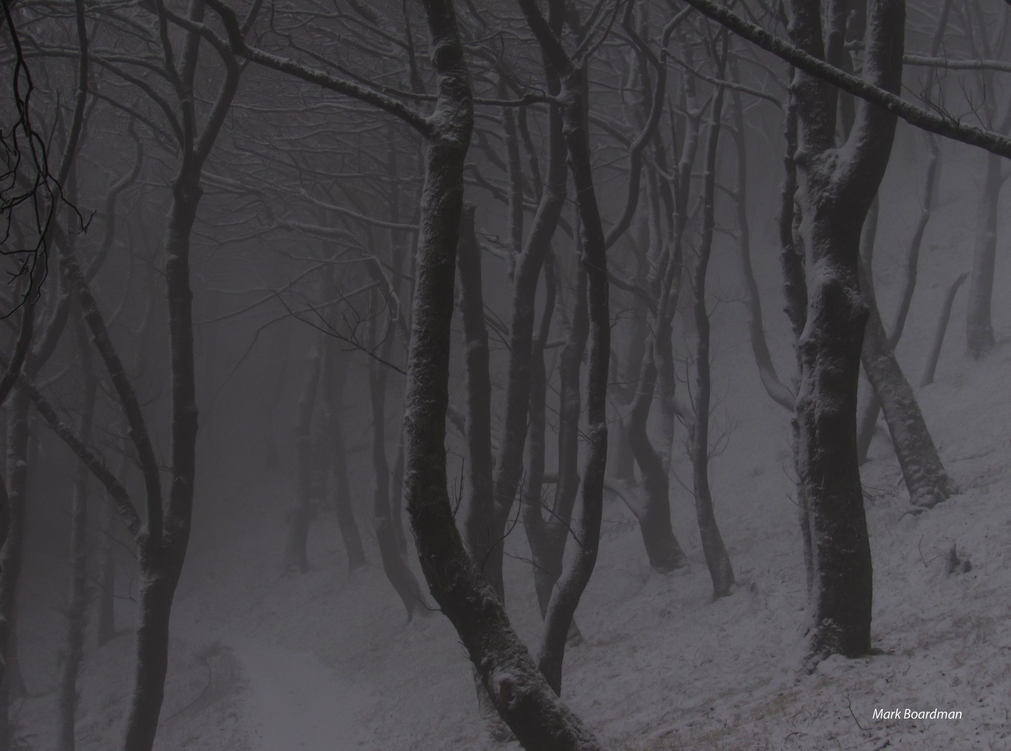 Macclesfield Forest Snow