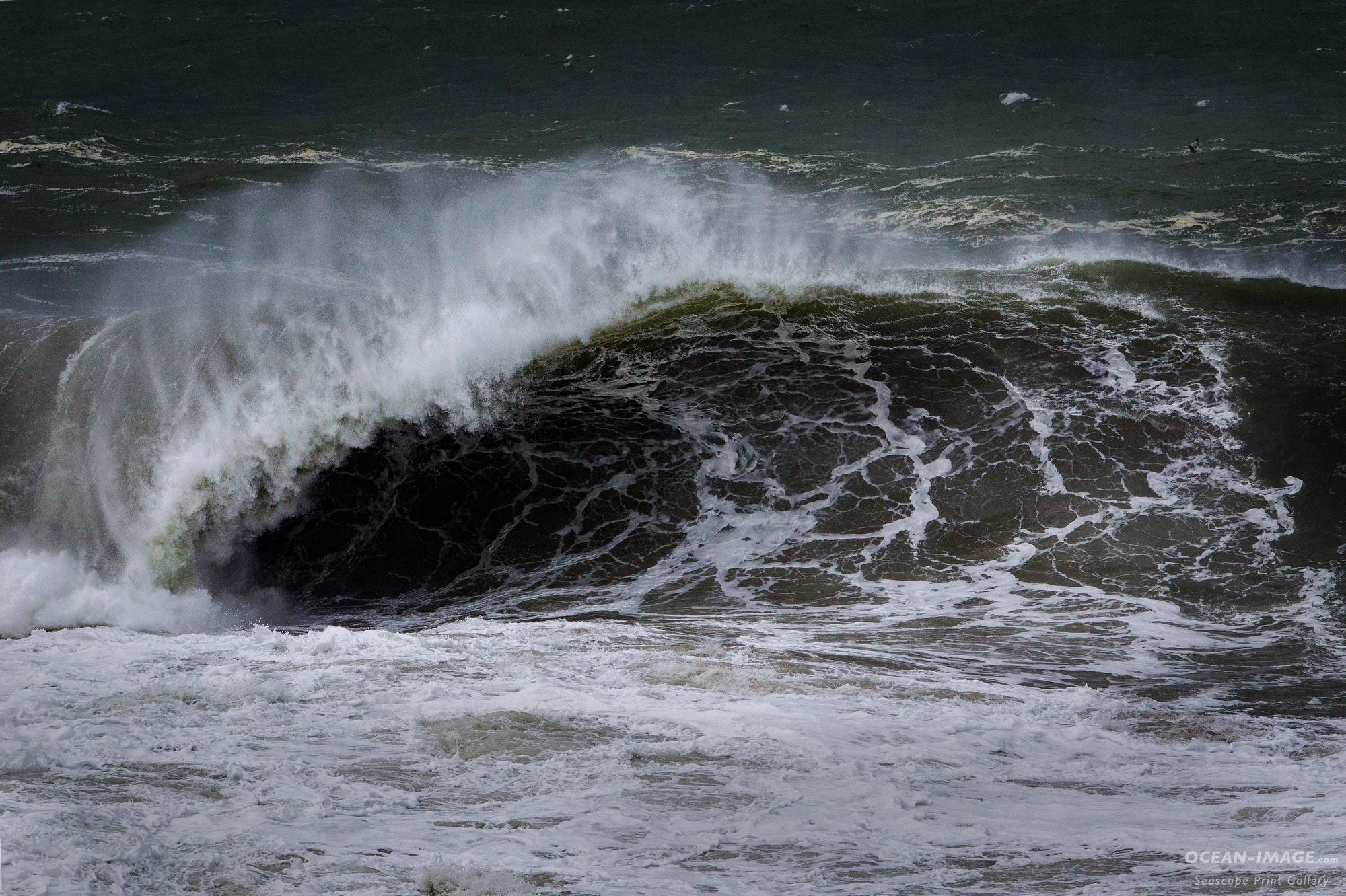 A brown and white mottled sand filled wave crashes into a beach