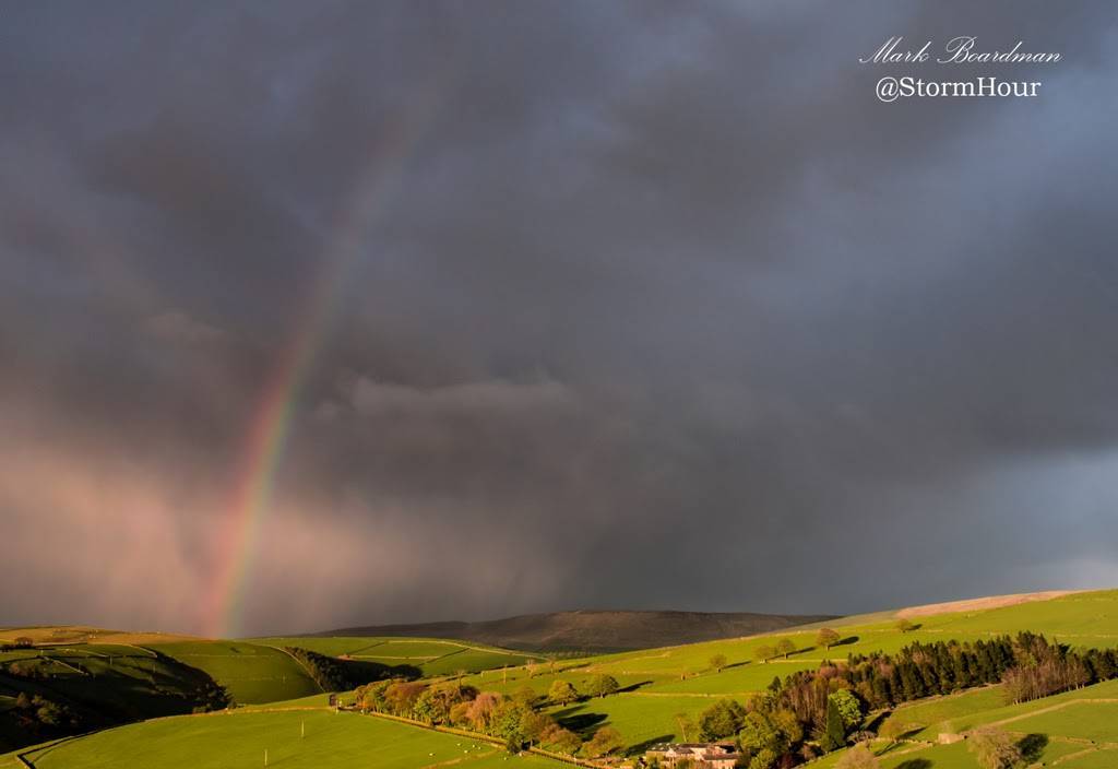 Five Facts About : Rainbows