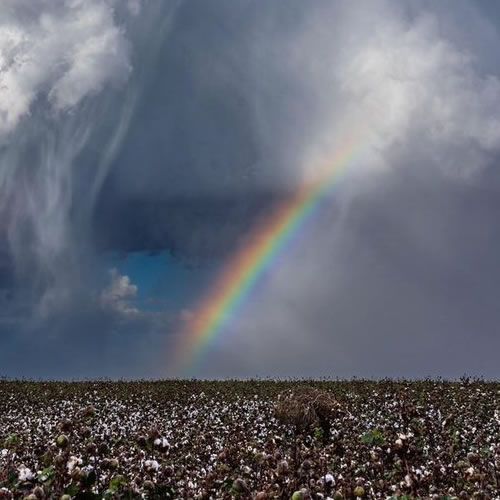Weather Photo Of The Week 5th November 2018