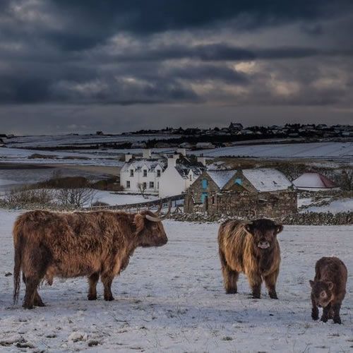 Weather Photo Of The Week 4th February 2019