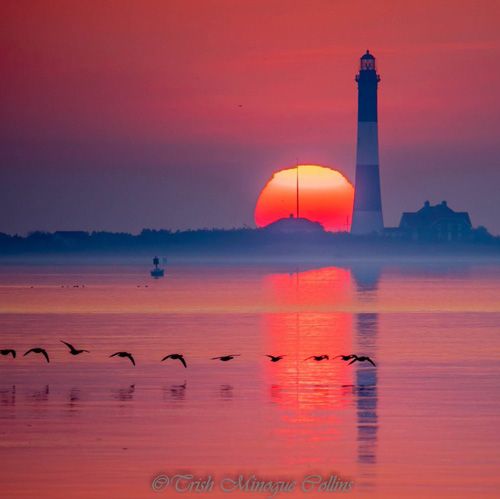 Weather Photo Of The Week 11th February 2019