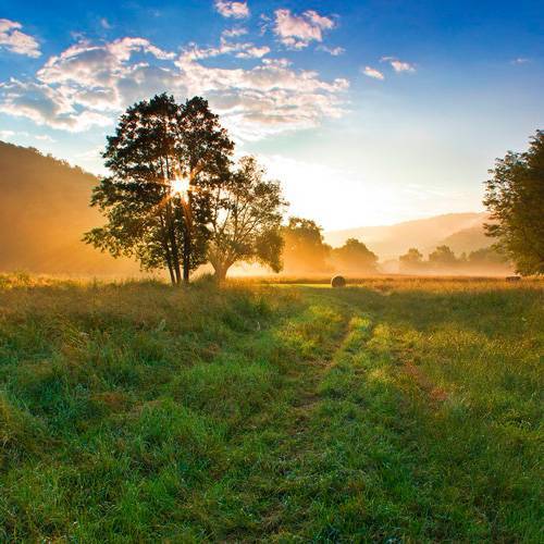 Weather Photo Of The Week Winners 12th December 2016