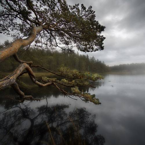 Weather Photo Of The Week Winners 1st October 2016