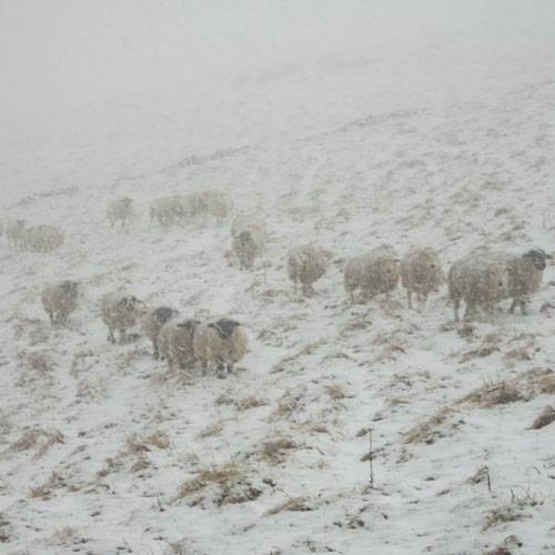 weather photos