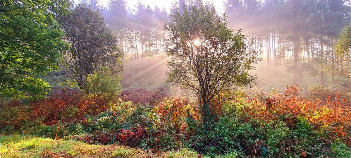 A misty sunrise by Cara