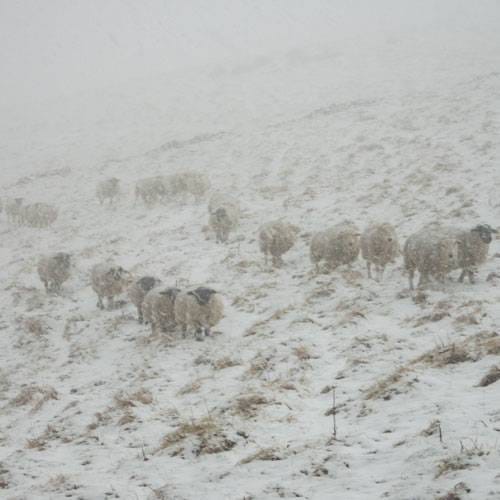 weather photos