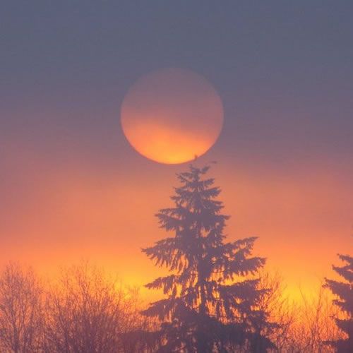 1st_Place_esterday_s_sunrise_Dinxperlo_Netherlands_by_Carina_Lichtenberg_70_carina_thumbs