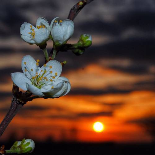 Weather Photo Of The Week 1st April 2019