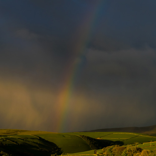 rainbow macclesfield