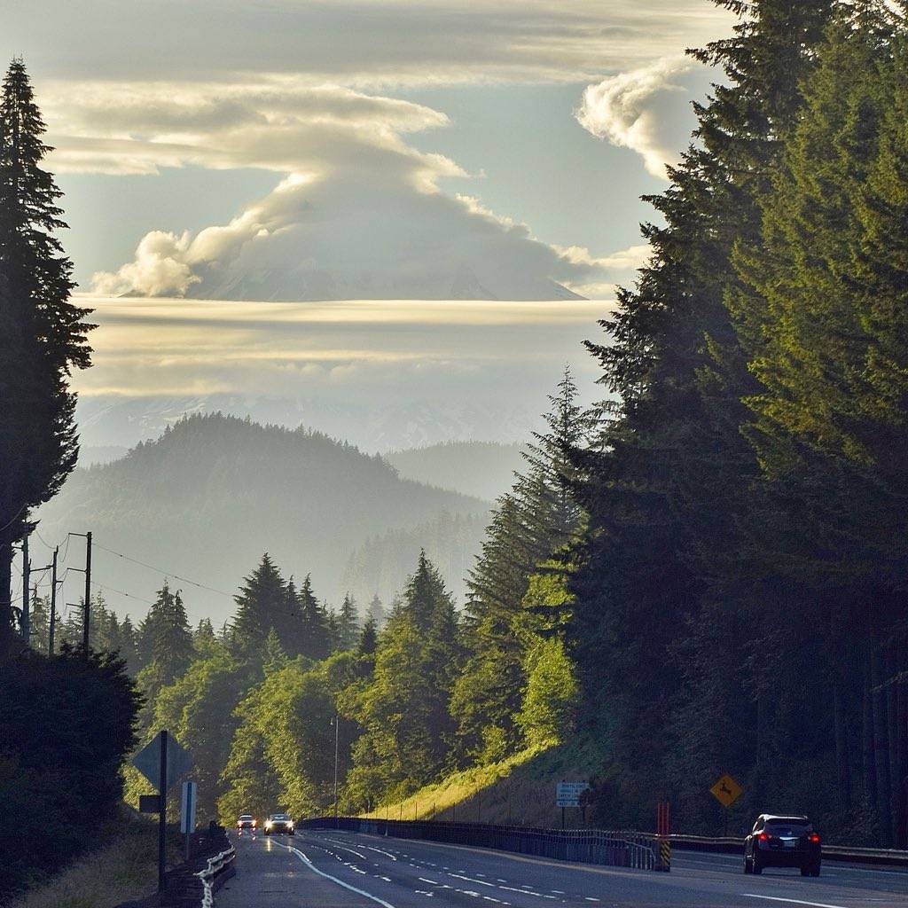 1st Place Mt. Hood covered in a blanket of clouds by Mike Warner @MikeKATU