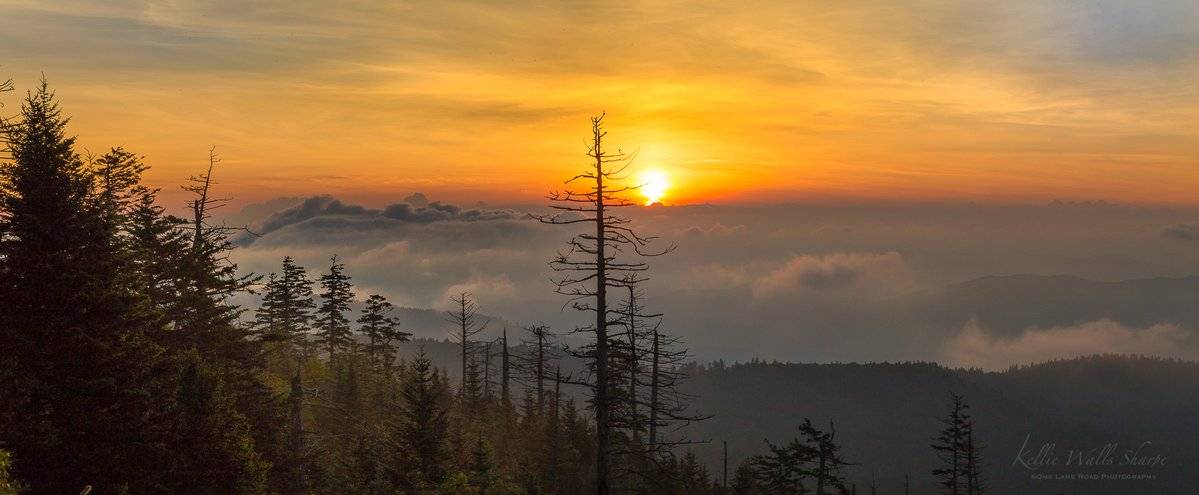 2nd Place Great Smoky Mountains of East Tennessee and North Carolina by OneLaneRoadPhoto @OneLanePhoto