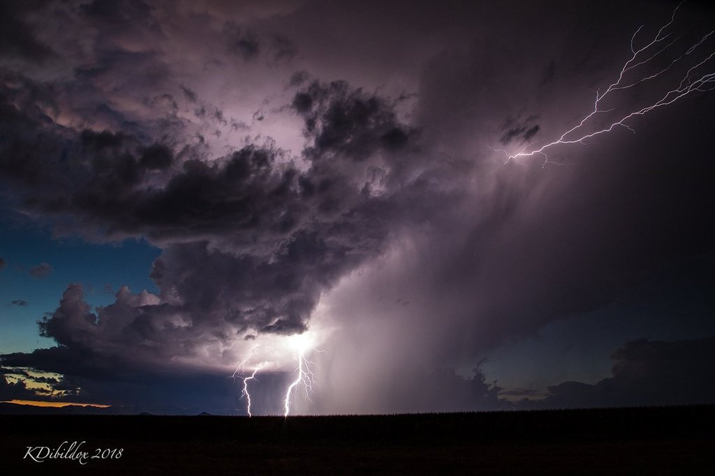 Arizona_Lightning_by_Kate_Dibildox_1024x1024