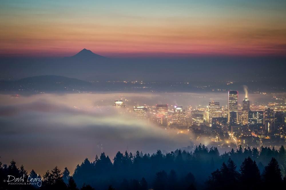 Another_beautiful_foggy_sunrise_in_Portland_by_David_Leahy_DavidLeahyPhoto_1024x1024