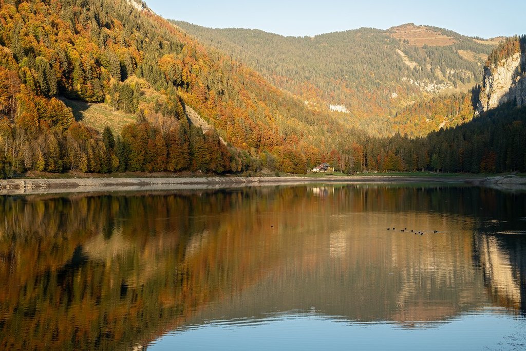 Autumn_in_the_Alps_by_Christophe_Suarez_suarezphoto_1024x1024