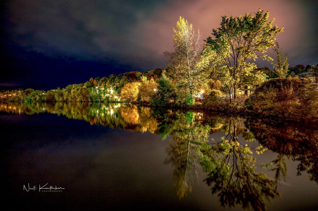 Fall_color_pics_at_night_under_bright_orange_street_lights_Quebec_Canada_by_Neeti_Kumthekar_NeetiKumthekar_1024x1024