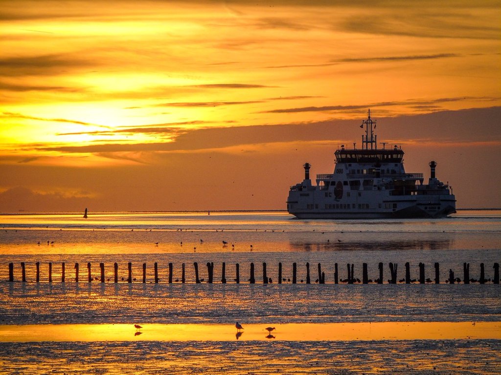 Golden_sunset_near_Holwerd_Netherlands_by_Meteo-Nederland_SevereWeather_N_1024x1024