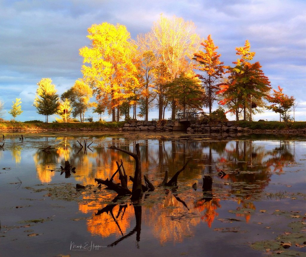 Saturday_night_light_catching_the_tops_of_the_trees_by_Mark_Hopper_hoppermark_1024x1024