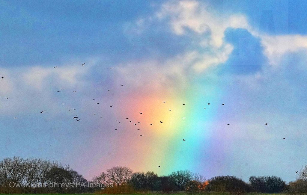 A little bit of colour in the sky as some birds fly through a small rainbow by Owen Humphreys @owenhumphreys1