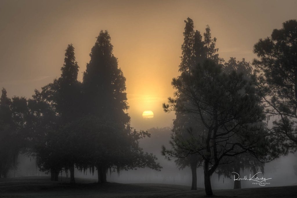 Foggy_morning_in_Valrico_Florida_by_Ronald_Kotinsky_rkotinsky_1024x1024