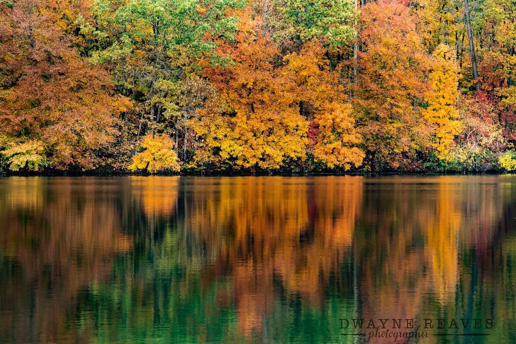 Simply_fall._The_Northern_area_of_N.C_is_beautiful_right_now_by_Dwayne_Reaves_dwaynereaves_1024x1024