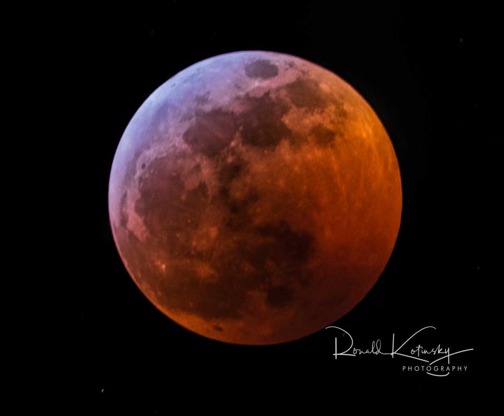 Super_Blood_Red_Wolf_Moon_-_Jan._20th_2019_-_Beverly_Hills_-_Florida_by_Ronald_Kotinsky_rkotinsky_1024x1024