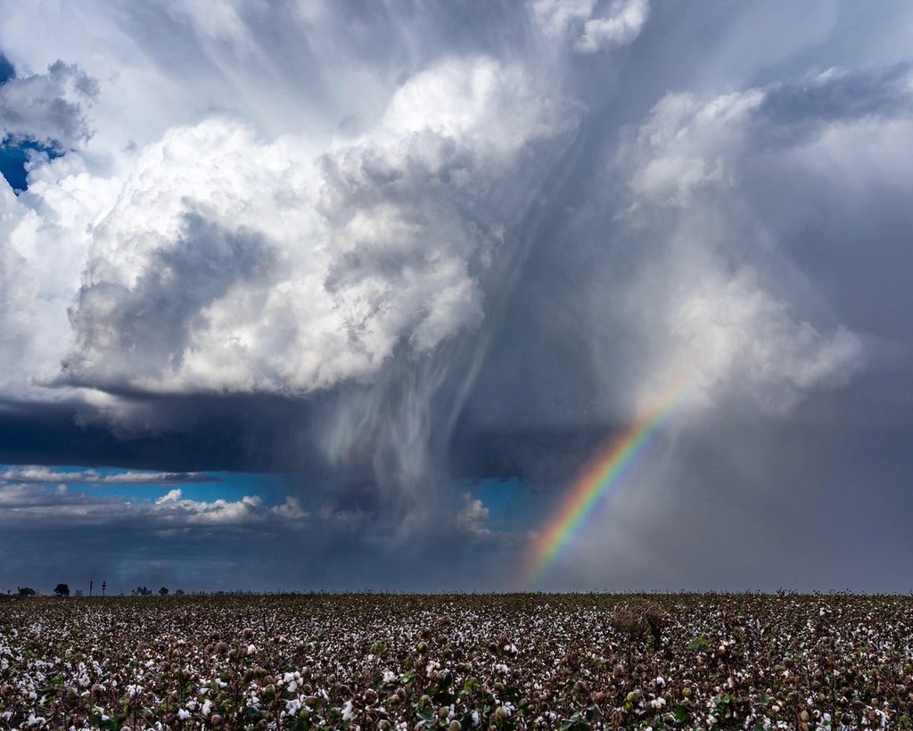 1st_Place_Thunderstorm_and_rainbow_over_a_cotton_field_near_Eloy_AZ_by_Kyle_Benne_KyleBenne_1024x1024