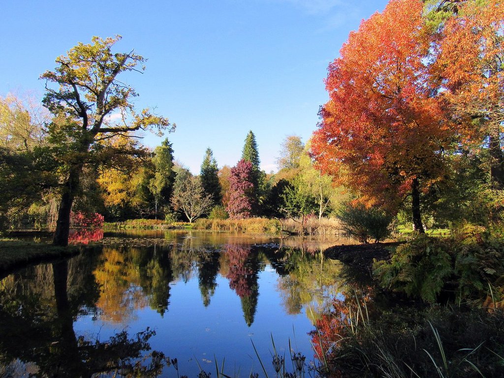 2nd_Place_Autumn_splendour_in_Hampshire_s_Test_Valley_by_Ali_AliDiva_1024x1024