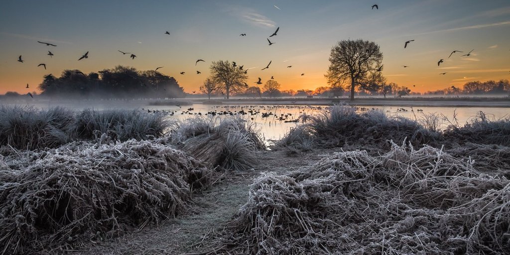 Bushy_Park_looking_over_Heron_Pond_on_a_frosty_morning_by_Stephen_Darlington_sjdarlington_1024x1024