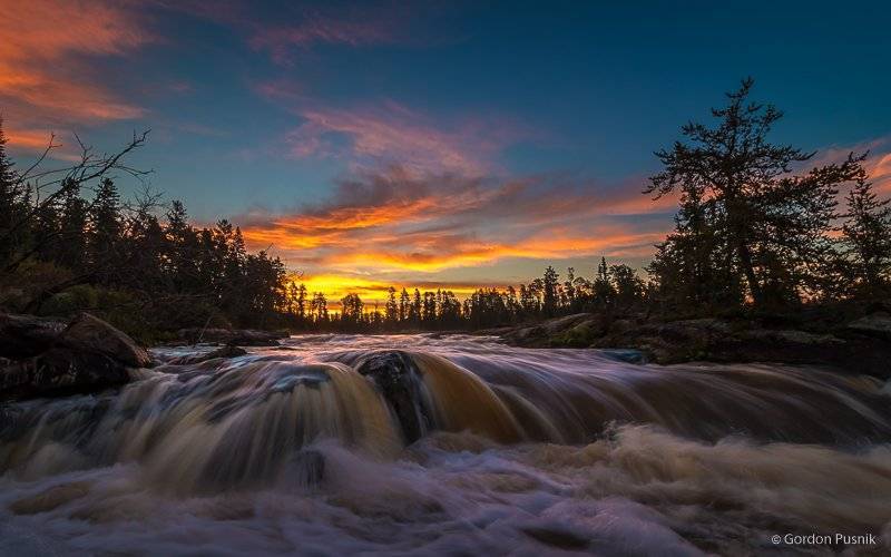 Sunrise in the boreal forest