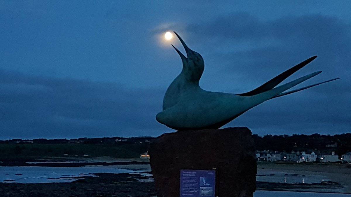 1st Place Graham Fraser @frasergj At dusk in North Berwick, East Lothian - catching a Halloween Moon