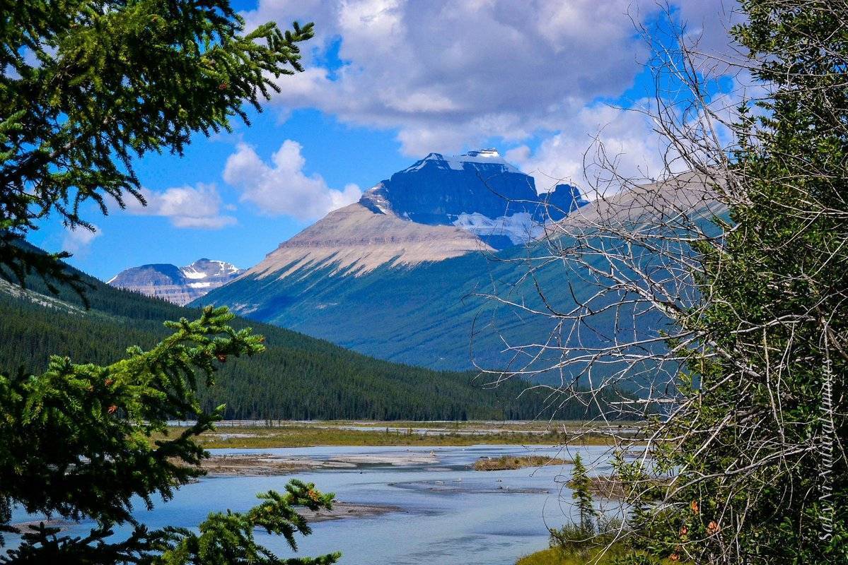 1st Place Icefields Parkway Banff National Park, Canada by Sandra Nicol @tennis45luv