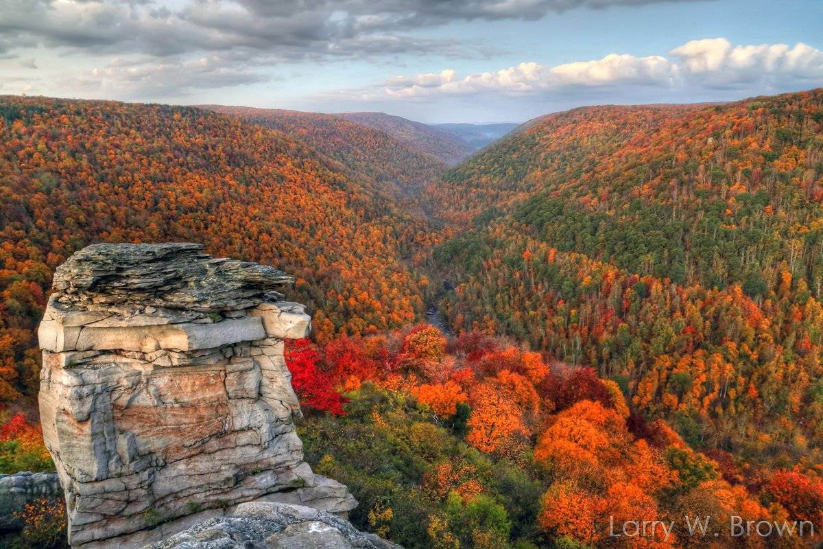 Autumn Foliage in Blackwater Canyon at Lindy Point, WestVirginia