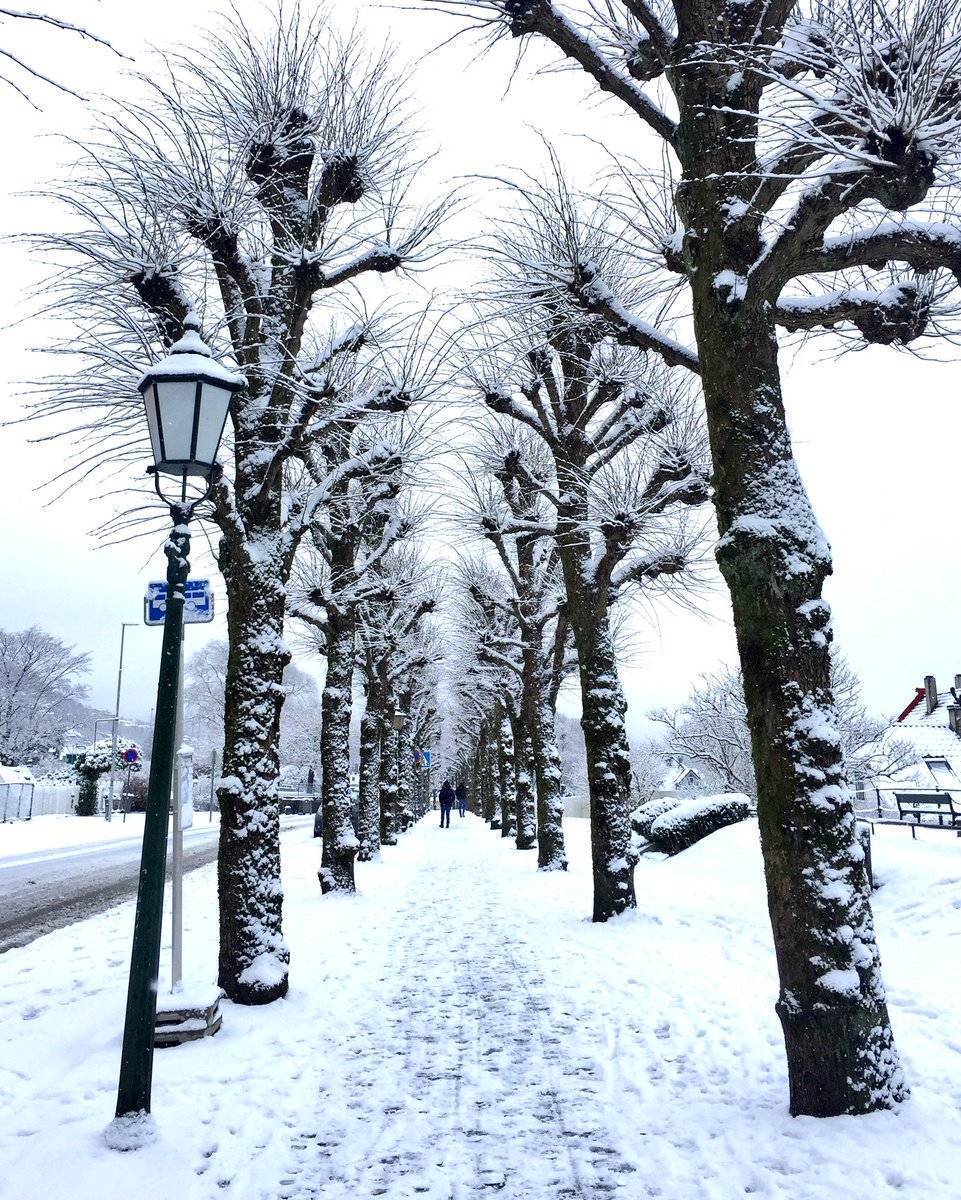 1st Place Lovely morning in Bergen, Norway by Eva Olsen Photography @EvaOlsenPhoto