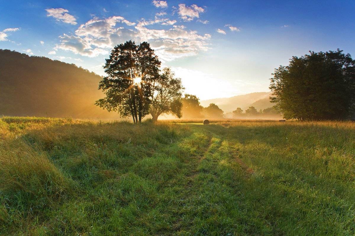 Open Land in Croatia