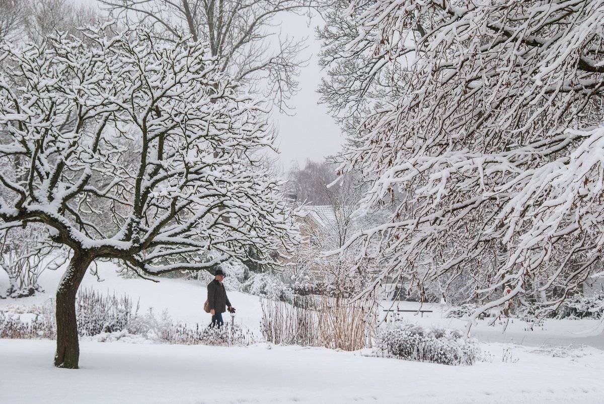 1st Place The grand finale of this year's #winter in Lund, Sweden by Lenka Peťková @Lenka_Petkova