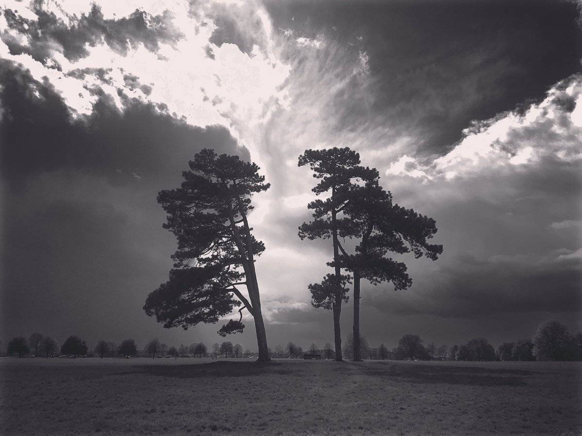 On Durdham Down - weather like this all over again. (Photo from last massive storm) - i heard tornados in Wales!