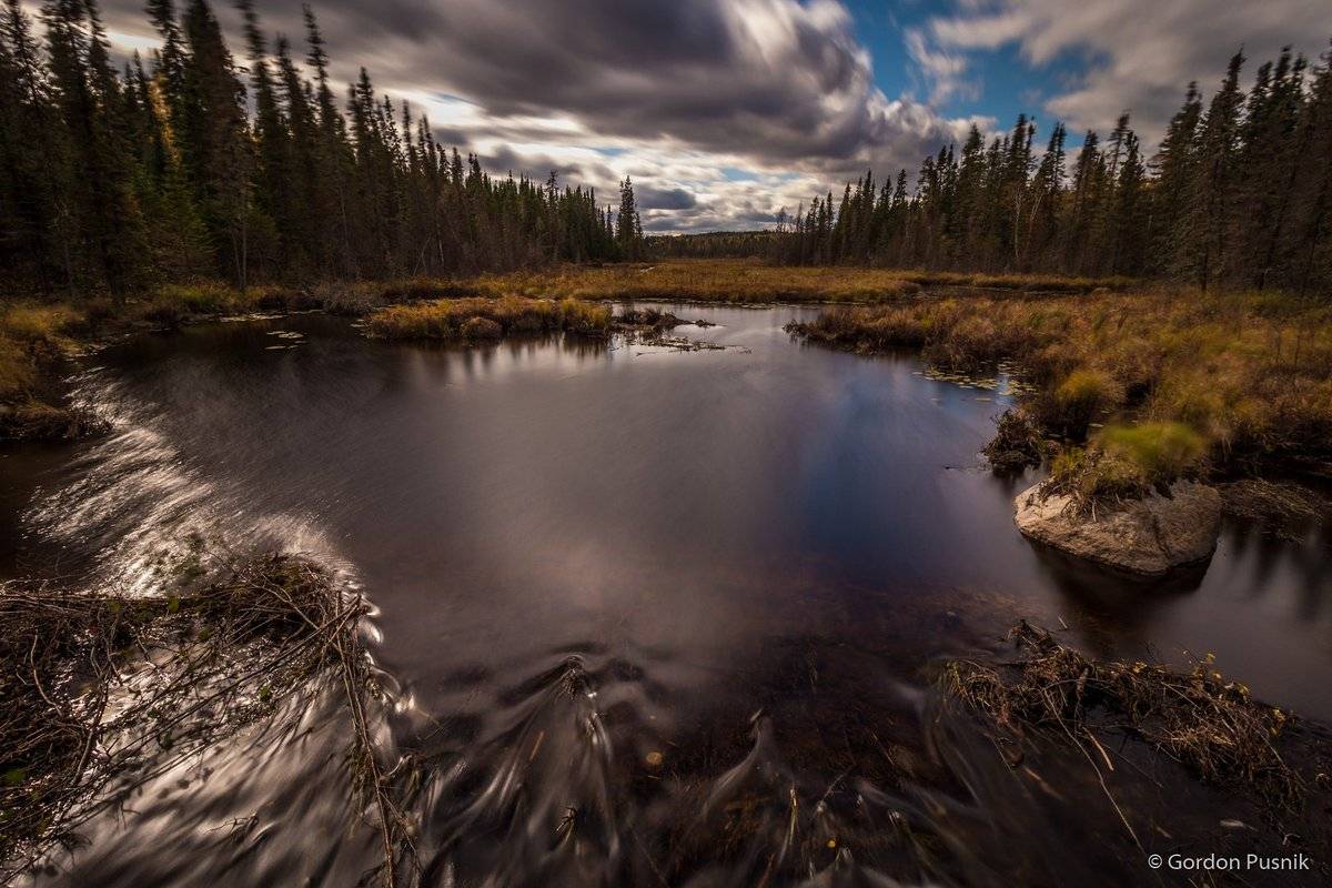 2nd Place Gordon Pusnik @gordonpusnik Path to Mystery - N.W. Ontario