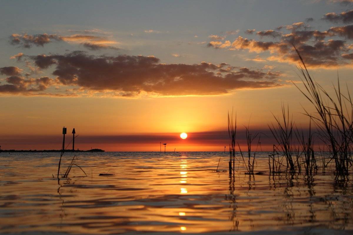 2nd Place Jon Morgan @JaM_Images Sunset overlooking the Gulf of Mexico, captured in Spring Hill, FL