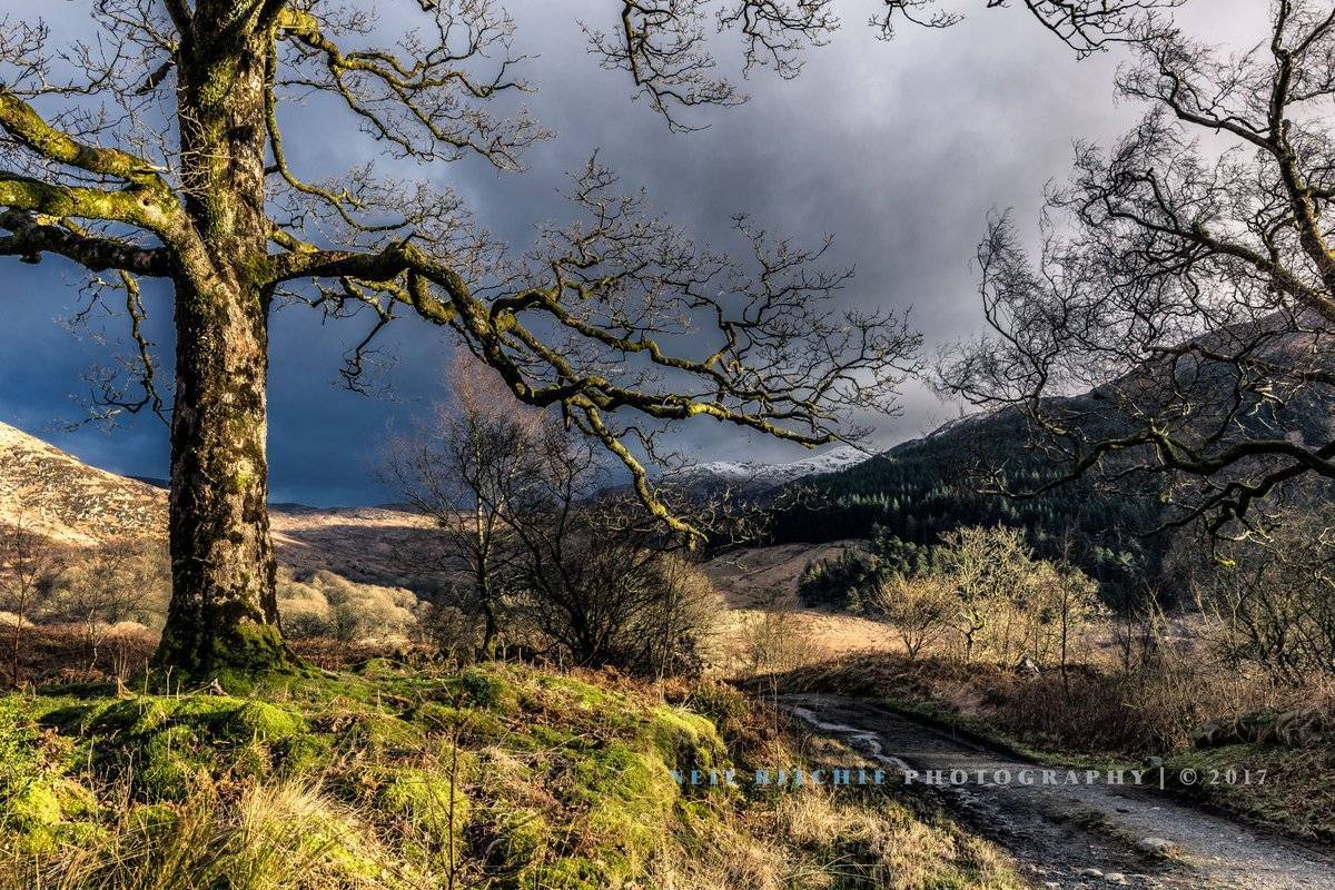 Dark skies moving in towards Glen Trool