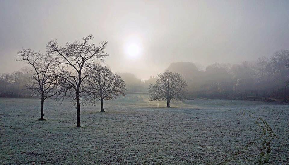 Fog and frost greet the dawn of winter. Upton Country Park, Dorset