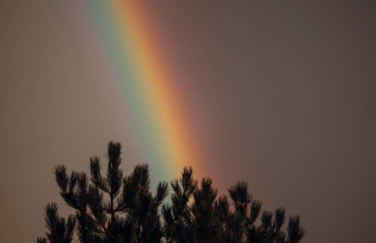 2nd Place Susan Gaskey @suezyg23 A close up using my Lumix 100-300 lens of a rainbow right at dusk.