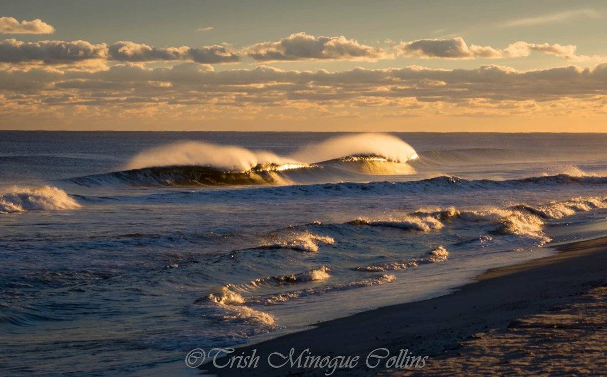 2nd Place Trish MinogueCollins @TrishMinogPhoto Golden hour on Fire Island. NY.