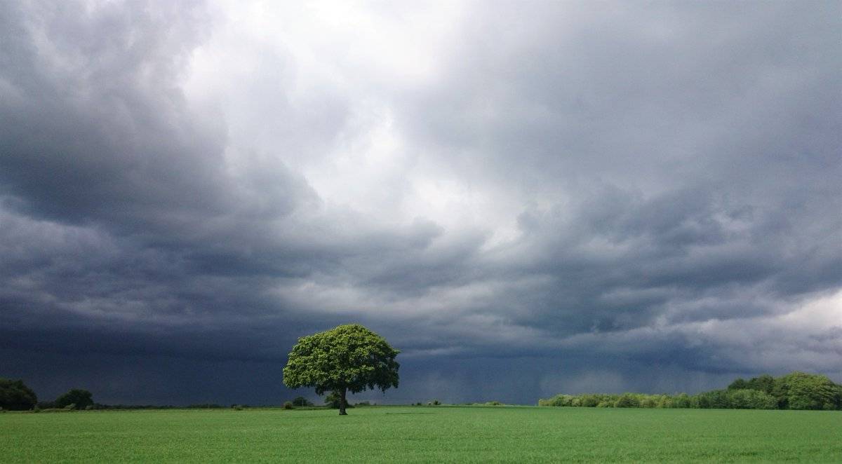 3rd place Geoff Richards @geoffrichards1 Lonely Tree - Angry Sky