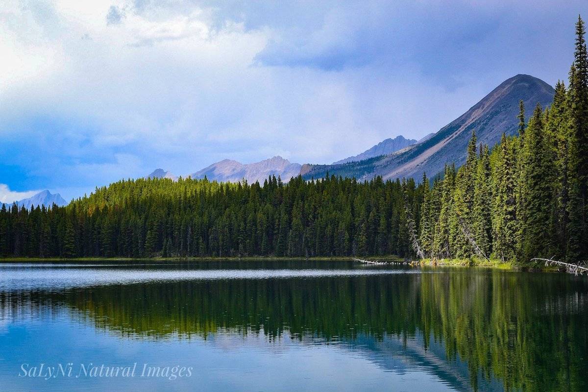 3rd Place Mona Lake Jasper National Park by Sandra Nicol @tennis45luv