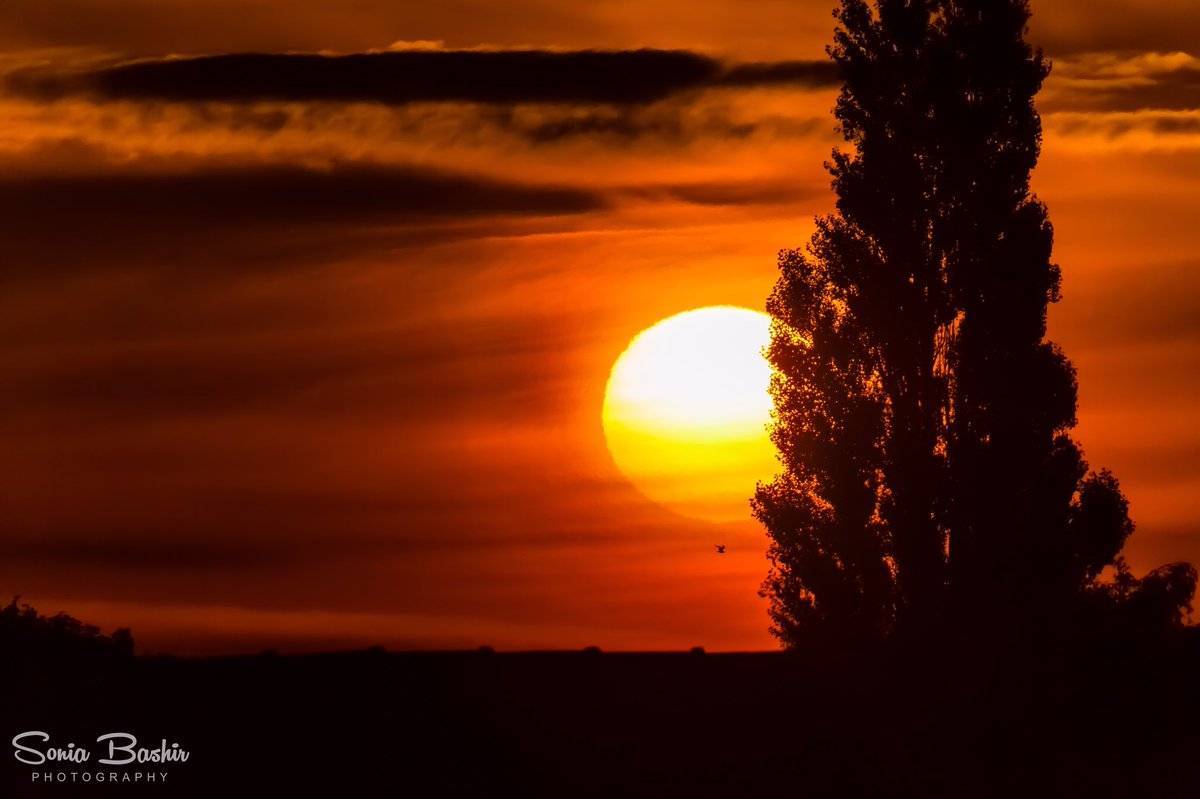 3rd Place Sonia Bashir @SoniaBashir_ This morning's beautiful sunrise from Preston, Lancashire