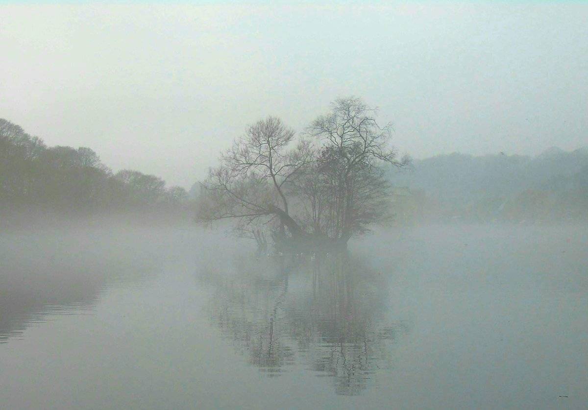 Foggy at Etherow Park, Stockport