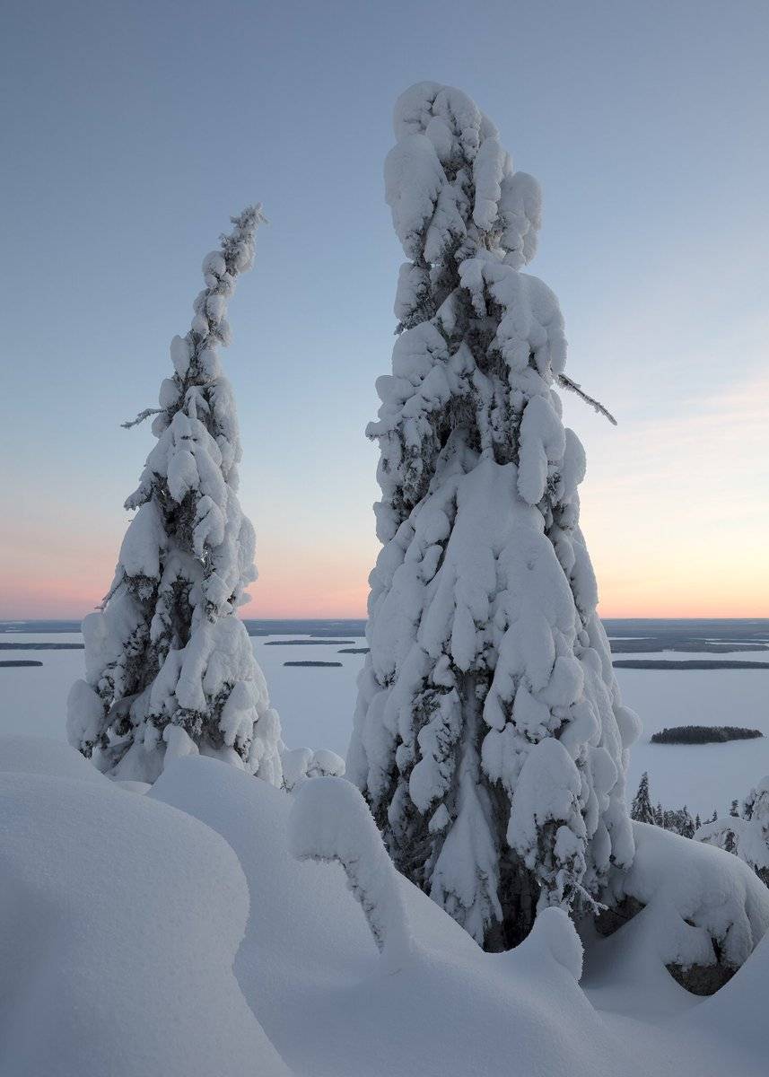 A peaceful morning in Koli National Park, Finland by Serena Dzenis @serenavsworld
