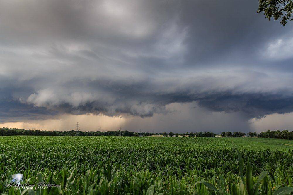 taken just west of Flamborough, Ontario