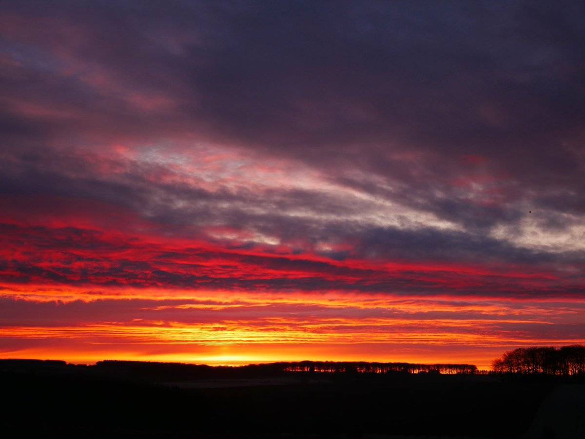 Nice sunrise from the garden by Laura Taylor @douglas_laura